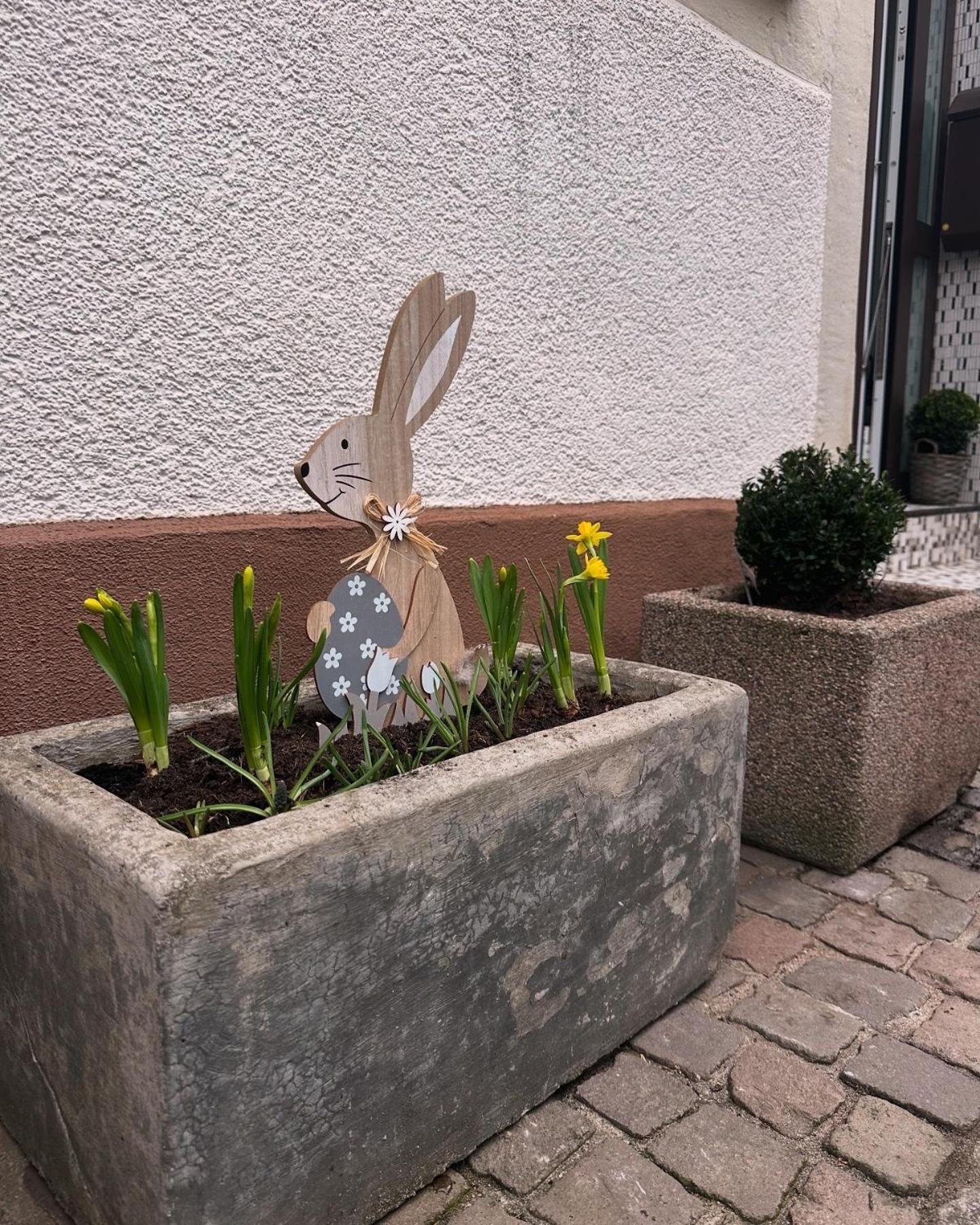 Ferienwohnung Am Berg バート・ベルクツァーバーン エクステリア 写真